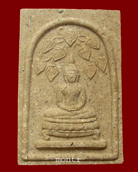 พระผงสมเด็จปรกโพธิ์ หลังสิงห์ หลวงพ่ออุ้น วัดตาลกง