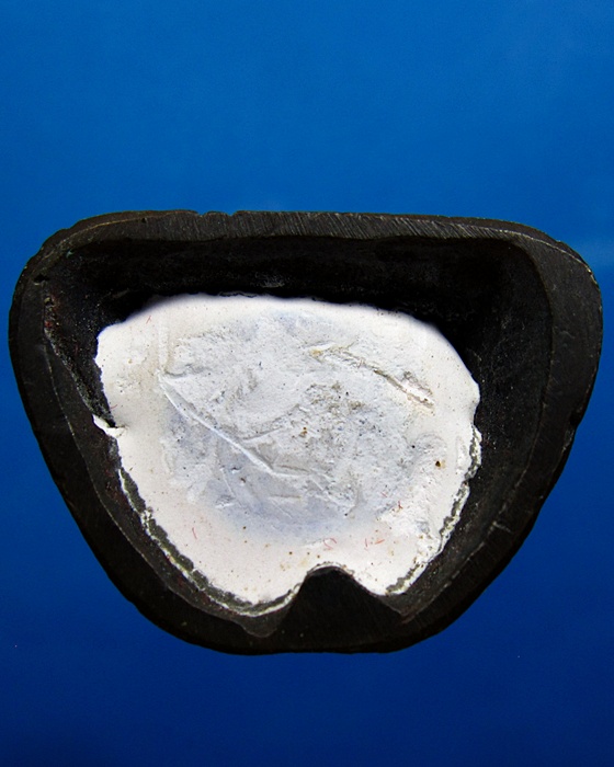 รูปเหมือน หลวงปู่คร่ำรุ่นสร้าง ศาลากลางจ.ระยอง