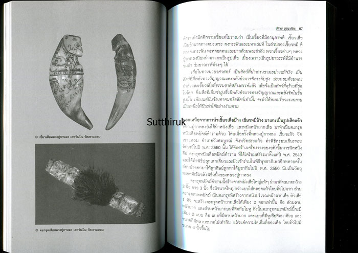 หนังสือ เสือ-สิงห์ สรรพสัตว์ในเครื่องรางของขลัง โดย ปลาย บูรพาทิศ