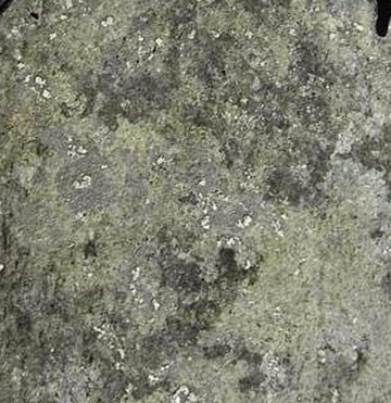 พระกรุวัดราชบูรณะ พระพุทธชินราชซุ้มระฆังเนื้อชินเงิน สภาพสวย อยุธยา เลี่ยมเงินเก่าครับ