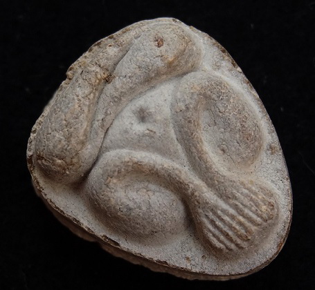 พระปิดตามหาเสน่ห์ หลังยันต์พุทโธ เนื้อเกสร องค์ล่ำ