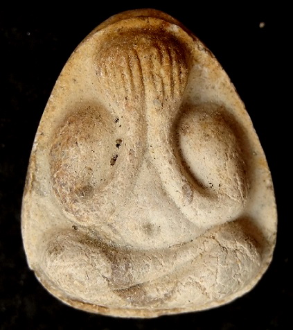 พระปิดตามหาเสน่ห์ หลังยันต์พุทโธ  เนื้อเกสรธ TWO TONE