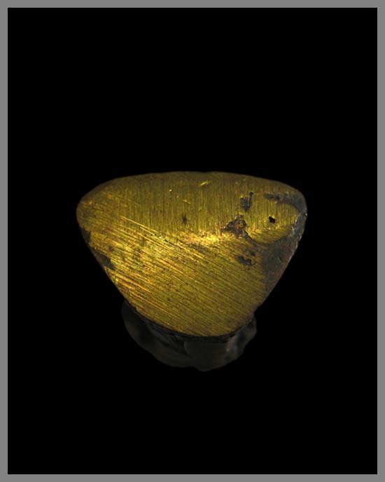 รูปเหมือนหล่อลอยองค์รุ่นแรก หลวงพ่อเอียด ปี39