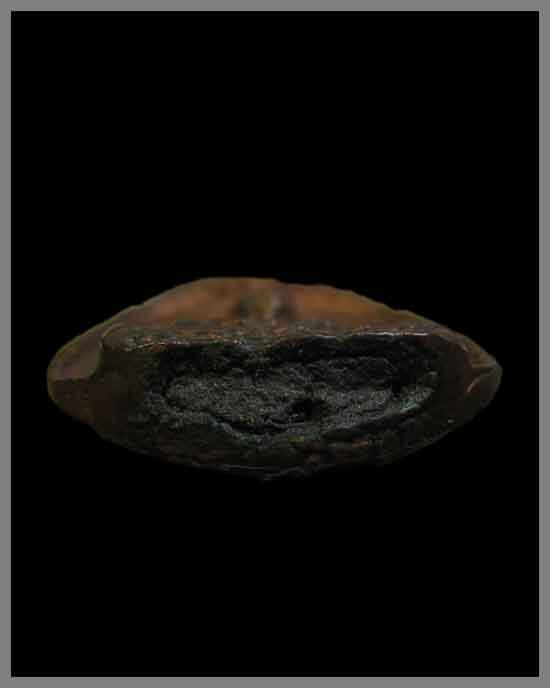 เหรียญหล่อหลวงปู่มัง วัดเทพกุญชร รุ่นสร้างมณฑป เคาะแรกขั้นต่ำครับ