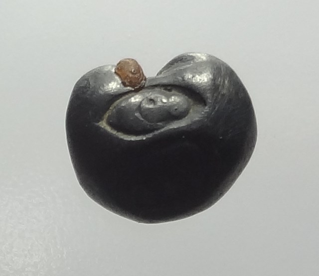 เงินพดด้วงตราช้าง 2 ตา