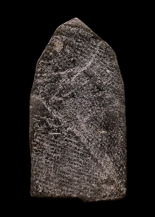 ปรกกำแพง