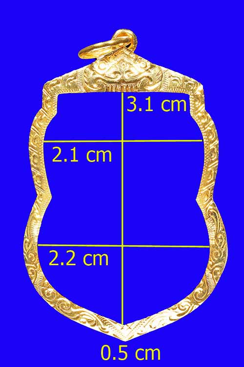 มือหนึ่ง กรอบทองคำยกซุ้มหัวสิงห์ งานแกะมือ หลวงปู่ทวด เสมา ทุกพิมพ์ เสมา100/101ปีอาจารย์ทิม/เสมา 