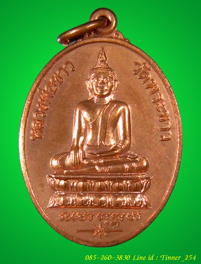 เหรียญย้อนยุค รุ่นแรก หลวงปู่ทิม วัดพระขาว อยุธยา ปี 45
