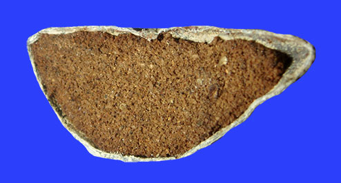 พระกรุวัดโปรดเกษ จ.นนทบุรี เนื้อตะกั่วสนิมแดง