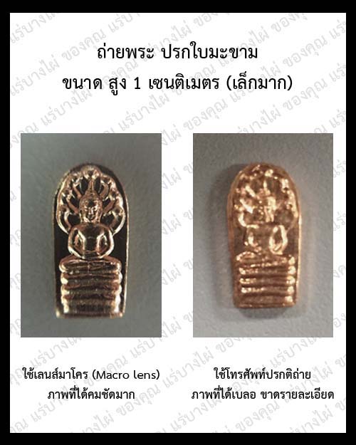 เลนส์กล้อง 3in1 Universal clip Lens สีดำขอบทอง ใช้สำหรับถ่ายพระเครื่อง 