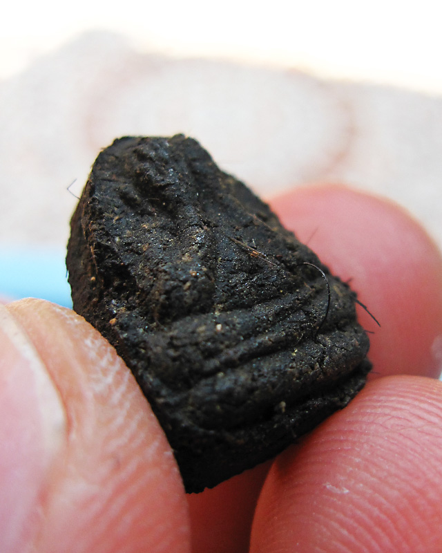 พระปิดตา หลวงปู่บัว ถามโก วัดเกาะตะเคียน จ.ตราด รุ่นฉลองพัดยศชั้นเอก ๒๕๔๕ กล่องเดิมครับผม