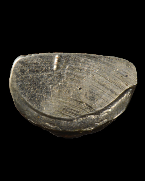 รูปหล่อปั้ม หลวงพ่อเขียน วัดสำนักขุนเณร จ.พิจิตร เนื้ออัลปาก้า 2516 หลวงพ่อทบ เสก สภาพสวย+เลี่ยมทอง