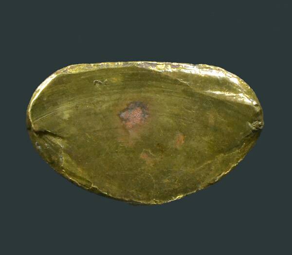 รูปเหมือนปั๊มหลวงพ่อเงิน วัดบางคลาน ออกวัดบึงนาราง