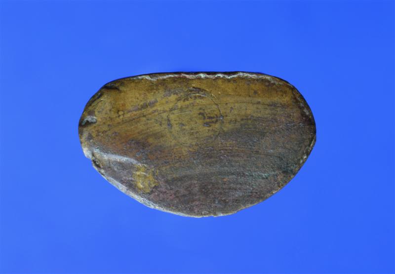 รูปเหมือนปั๊มหลวงพ่อเงิน วัดคงคาราม (บางคลานใต้)