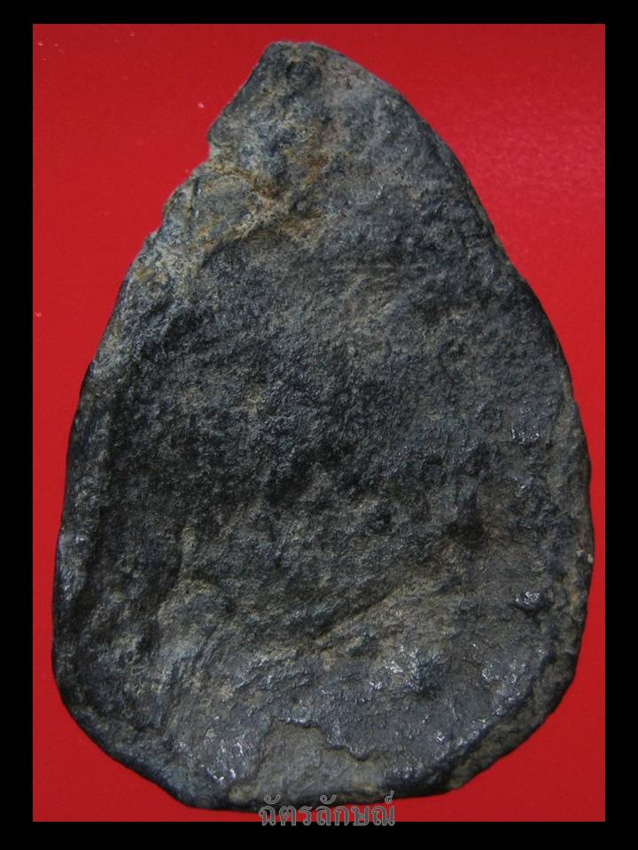 นางกำแพงกลีบบัว ชินเงิน