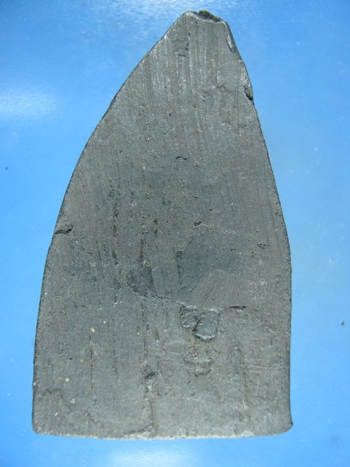 ชินราช หลวงพ่อเงิน หลังเรียบ