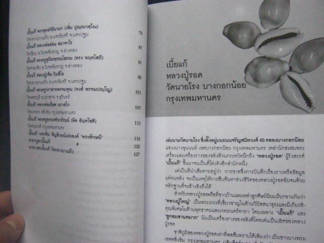 หนังสือเบี้ยแก้ "กันคุณไสยเปี่ยมพลังแห่งเมตตามหานิยม" โดยตาปี กระดาษปอนด์ หนา 127 หน้า