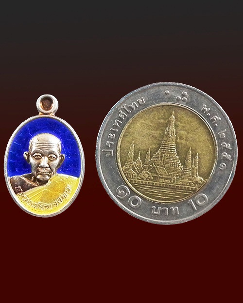 เหรียญเม็ดแตงหลวงปู่ทองพูล สิริกาโม  ปี. ๒๕๕๔ 