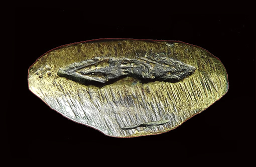 รูปหล่อพระชินราชหลวงพรหมโยธี จ.พิษณุโลก ปี 2493 