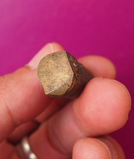 เสือหลวงพ่อเปิ่น วัดบางพระ จ.นครปฐม 