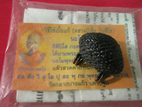 เบี้ยแก้หลวงปู่เจือ รับกับมือลูกที่ 2