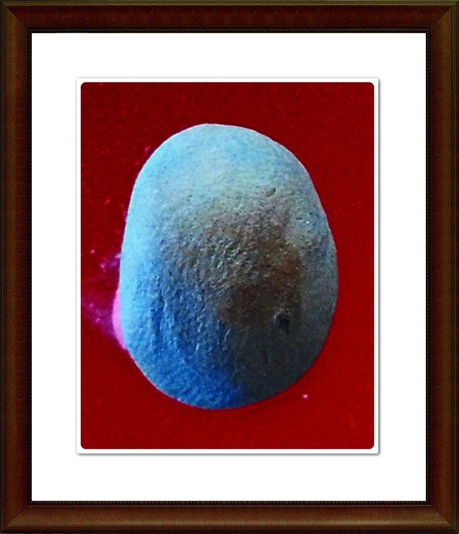 พระเม็ดบัว เจ้าคุณโพธิ์ วัดชัยพฤกษ์มาลา(44)