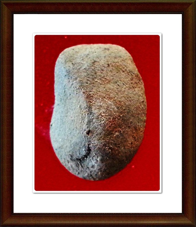 พระเม็ดบัว เจ้าคุณโพธิ์ วัดชัยพฤกษ์มาลา(45)