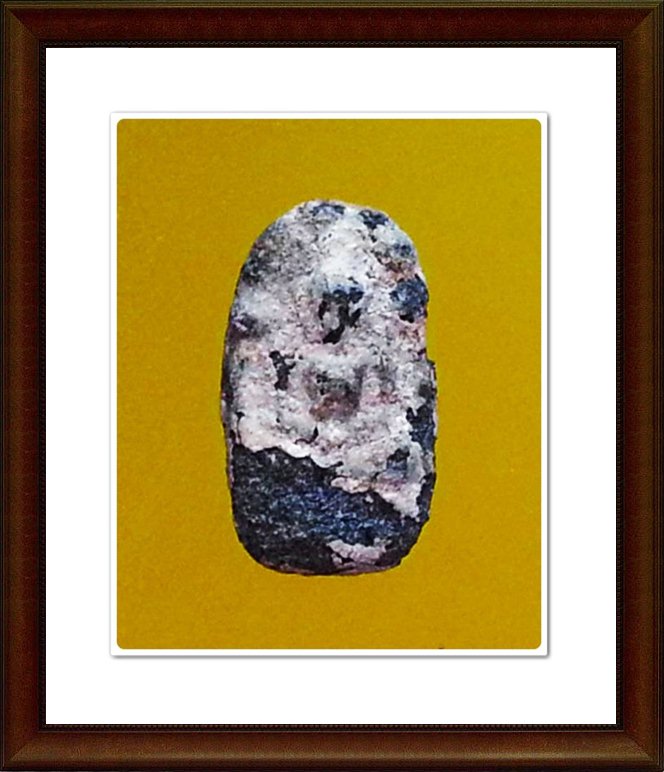 พระนาคปรกพิจิตร