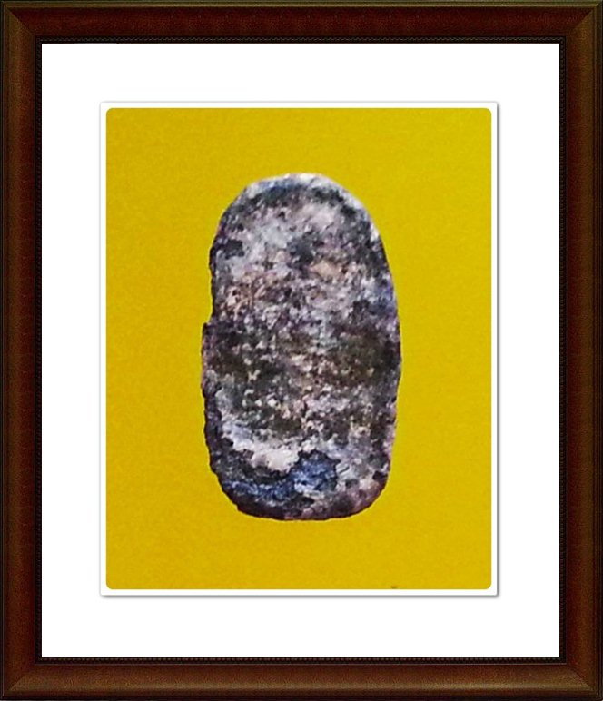 พระนาคปรกพิจิตร