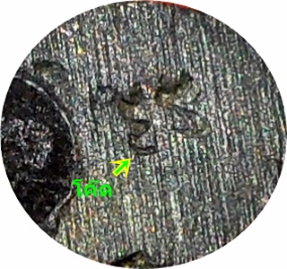 ***พระนาคปรก พิธี"ฤกษ์มหาจักรจตุรงคสันนิบาต” วัดสาลีโข เนื้อนวะ อุดผง (โค๊ด)ปี 2514