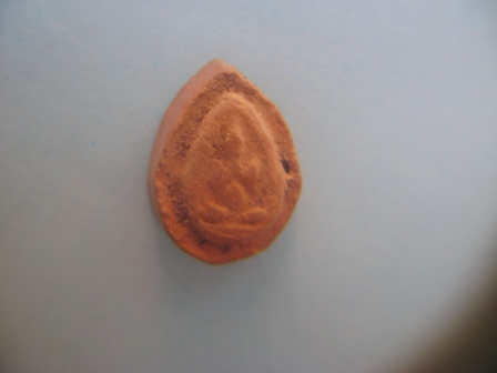 ปิดตากรุวัดห้วยเขน เนื้อดิน ( 1 )