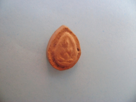 ปิดตากรุวัดห้วยเขน เนื้อดิน ( 1 )