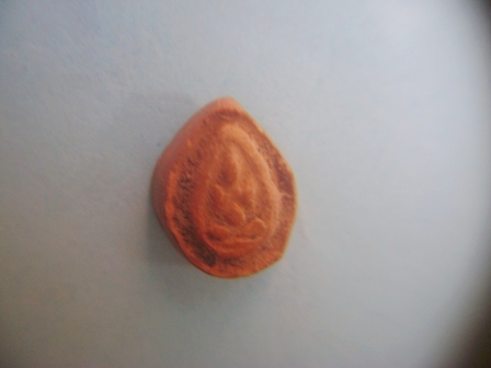 ปิดตากรุวัดห้วยเขน เนื้อดิน  ( 1 )