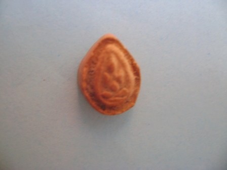 ปิดตากรุวัดห้วยเขน เนื้อดิน  ( 1 )