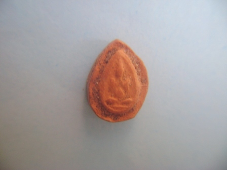 ปิดตากรุวัดห้วยเขน เนื้อดิน  ( 3 )