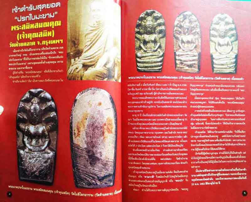 หนังสือประวัติและการศึกษาวัตถุมงคลยอดนิยมหลวงพ่อเดิม วัดหนองโพ จังหวัดนครสวรรค์