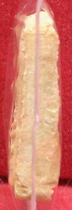 *ปรกโพธิ์คะแนน เนื้อเกสร ปี๒๕๒๑..ลป.โต๊ะ วัดประดู่ฉิมพลีฯ*