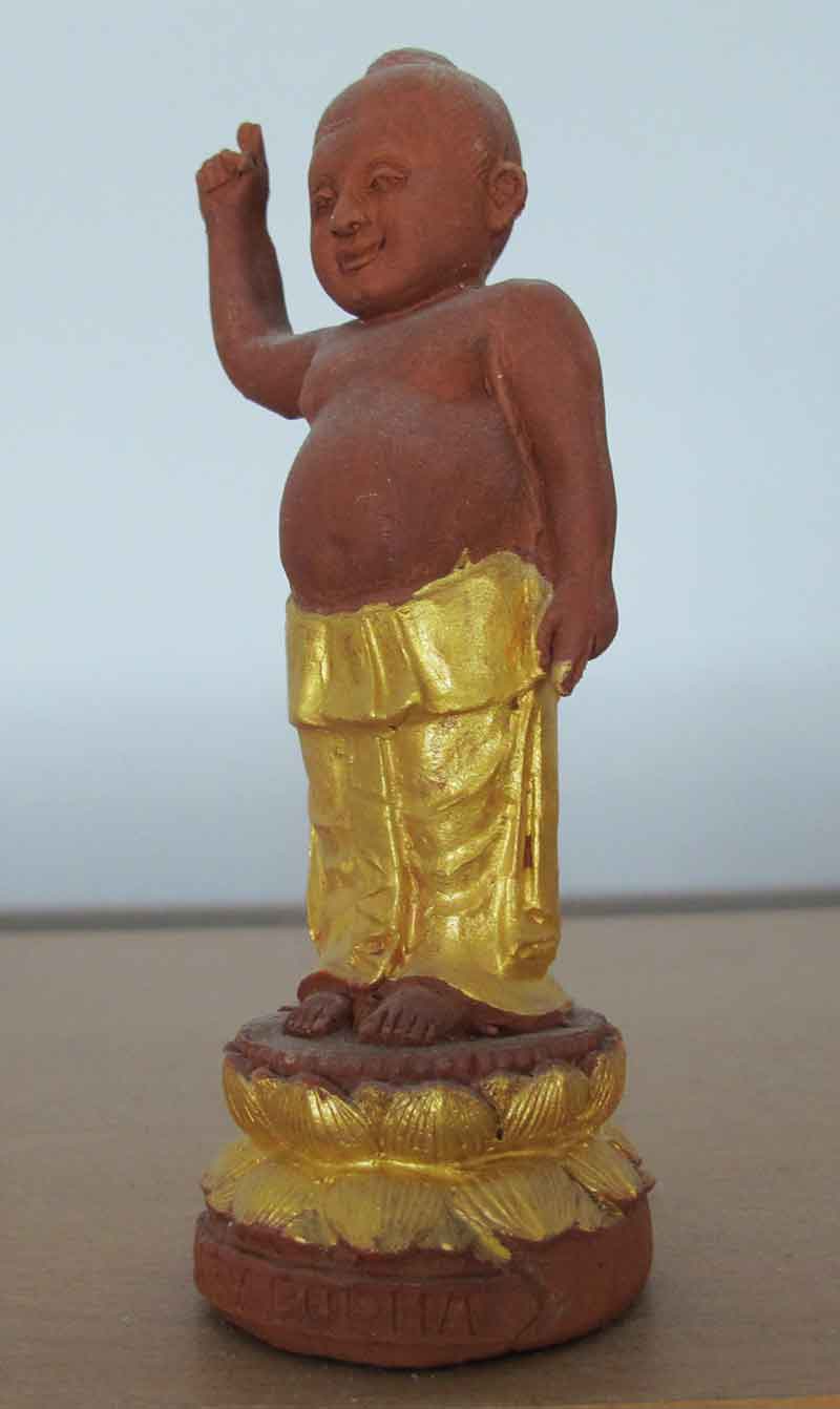 พระพุทธเจ้าองค์น้อย  เนื้อว่านแดง  