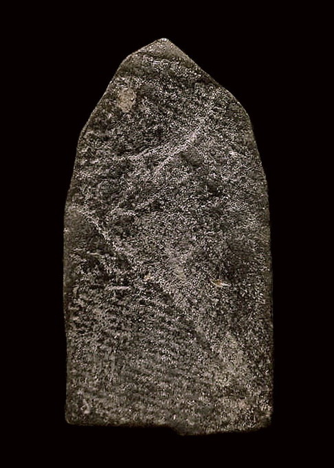 ปรกกำแพง