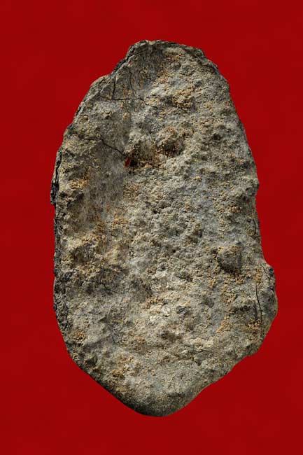 หลวงพ่อพัด  ชัยนาท