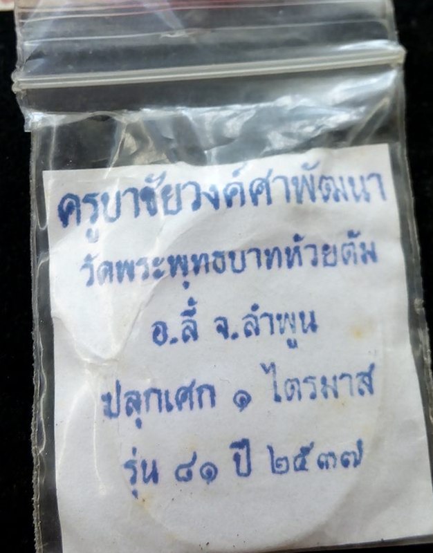 เหรียญปีรกา ครูบาชัยวงค์ศา ปี 37 ปลุกเสก 1 ไตรมาส