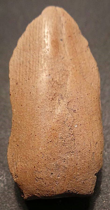 พระรอดซุ้มเรือนแก้ว