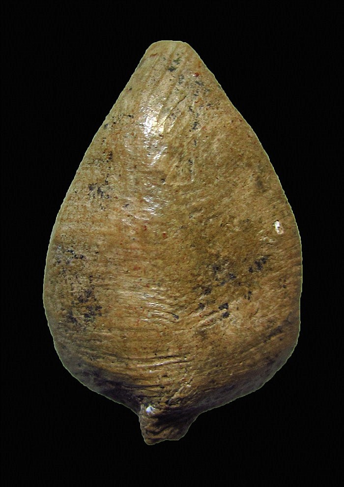 พระกรุวัดราชนัดดาพิมพ์กลีบบัวเล็ก เคาะเดียวแดงครับ