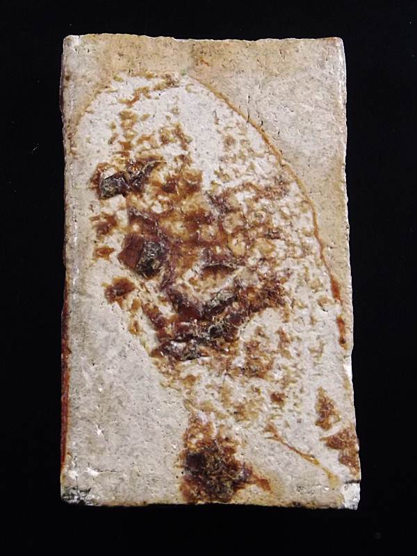 พระนาคปรกหลวงปู่จันทร์ วัดศรีเทพ ปี2500 เนื้อผงสวยเก่าลงเคลือบครับ