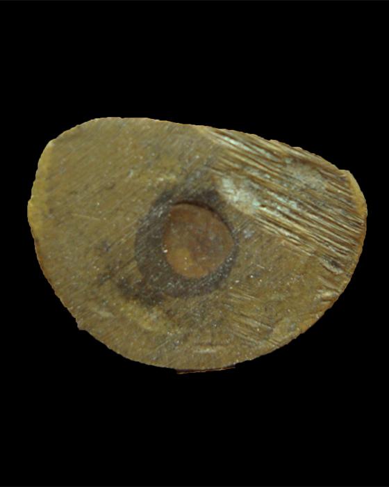 รูปหล่อหลวงพ่อเงิน ช้างคู่ วัดท้ายน้ำ 2526