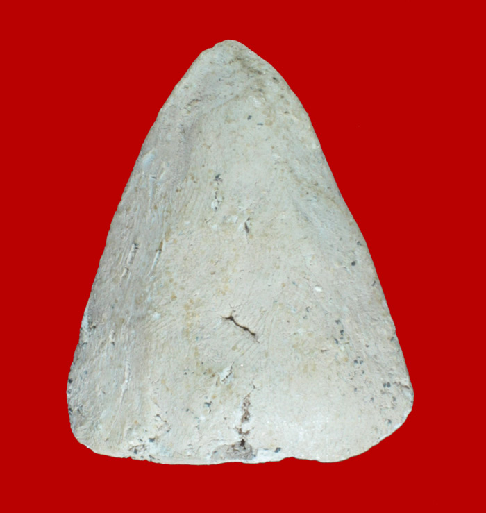 พระเนื้อผงรูปเหมือนหลวงพ่อจง พิมพ์ตรง เนื้อชมพู วัดหน้าต่างนอก อยุธยา ออกวัดประสาทบุญญาวาส กทม.