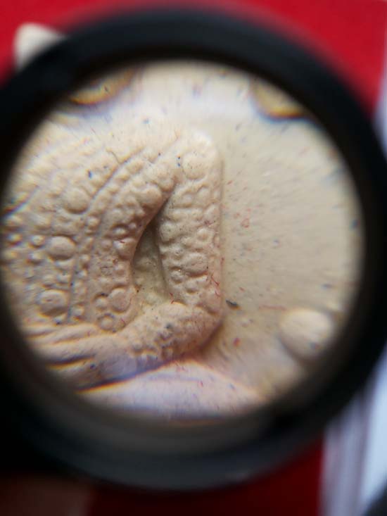 เคาะเดียวปิดครับราคาขายส่งกล้องNIKON 15X รุ่นใหม่ตัวเรือนเหล็กหลังFULL HDสวยๆครับพร้อมจัดส่งEMS