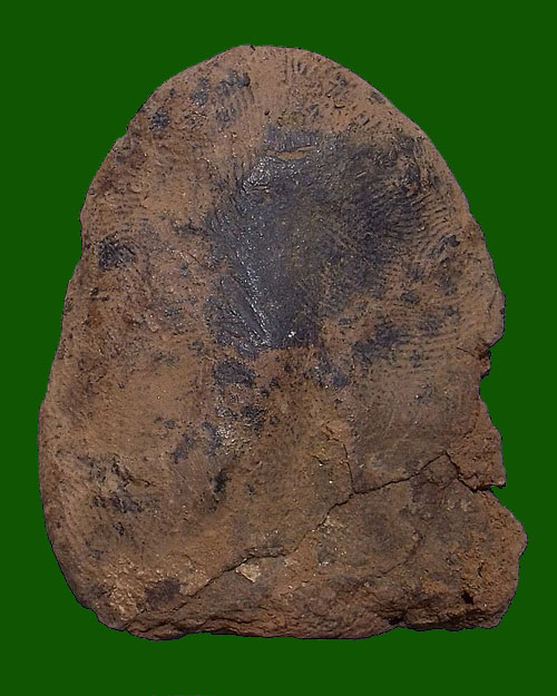 พระร่วงนั่งเข่ากว้าง กรุ สปจ เนื้อดิน จ.กำแพงเพชร บัตรรับรอง