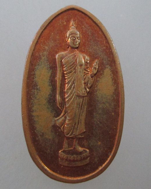 เหรียญพระศากยมุนีศรีอโยธยา วัดพระญาติฯ ปี๓๗ (หลวงพ่อเฉลิม ปลุกเสก)
