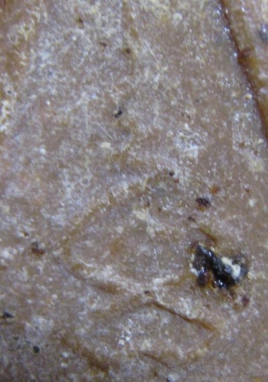 พระพุทธสมาธิหลังยันต์เทาะว์ เนื้อผง วัดบ่อวิน จ.ชลบุรี หลวงปู่ทิมปลุกเสก   